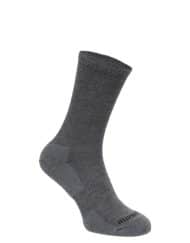 photo of Silverpoint 2008 pace coolmax sock grey