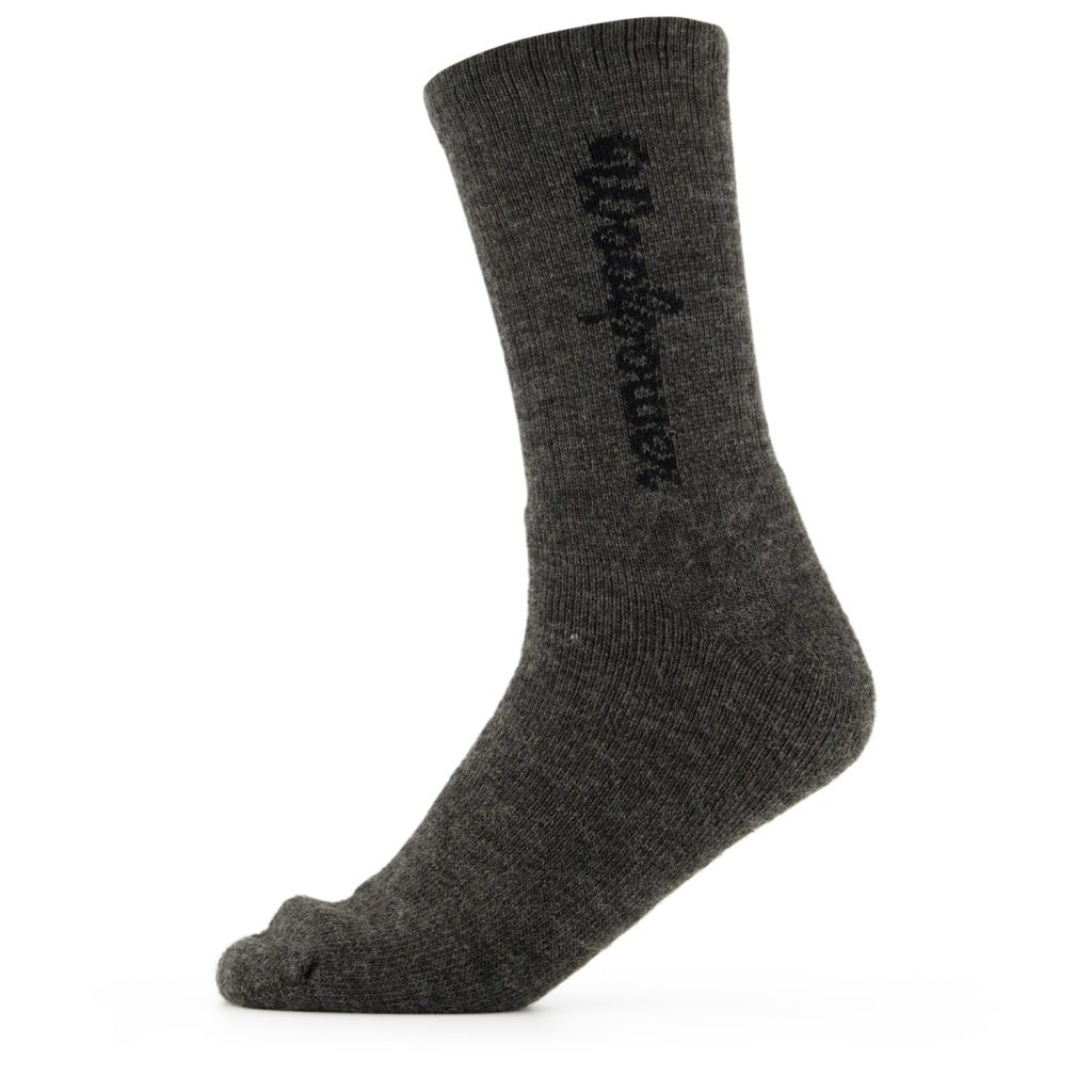 photo of Woolpower 400 logo socks grey